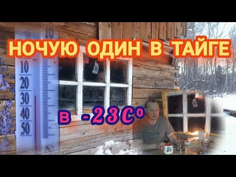Видео: НОЧУЮ ОДИН В ТАЙГЕ В - 23С⁰