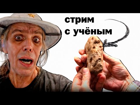 Видео: Пригласили на стрим Американского Ученого @mudfossiluniversity