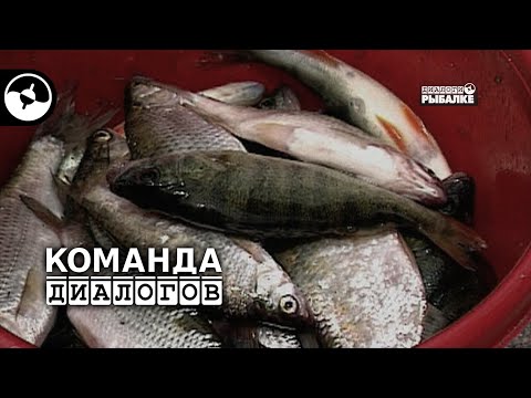 Видео: Тарань на боковой кивок | Классика