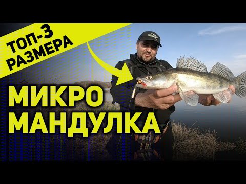 Видео: ТОП-3 лучших размера МИКРО МАНДУЛА. Как поймать на маленькую  МАНДУЛУ? Игра приманки под водой.