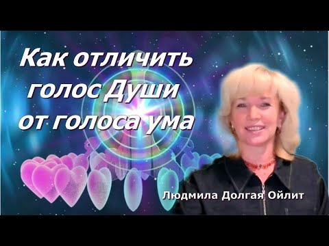 Видео: Канал Души — источник мудрости и счастья. Людмила Долгая