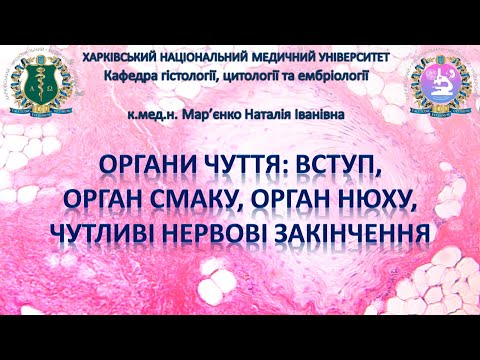 Видео: Органи чуття, частина 1. Вступ, орган смаку, орган нюху, чутливі нервові закінчення. Гістологія