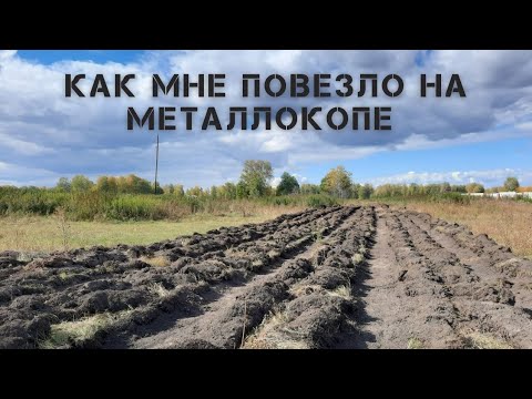 Видео: ТРАКТОР РАСПАХАЛ ПОЛЕ... А ТАМ...