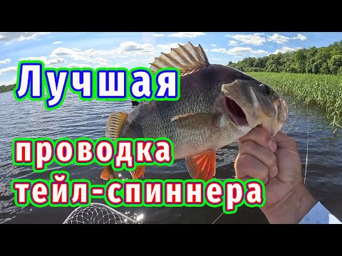 Видео: Рыбалка вдоль травы на тейл-спиннер! Вы удивитесь как ведёт себя рыба!