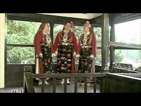 Видео: Сиви гриви гълабе.