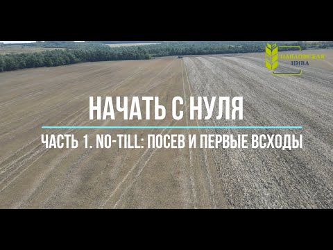 Видео: Часть 1.  Посев и первые всходы