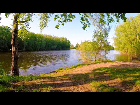 Видео: Просто покатушки