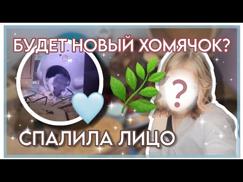 Видео: НОВОСТИ || НОВЫЙ ХОМЯК? 🐹 || Разбор Мебели Хомяков 🌱  || ПОКАЗАЛА ЛИЦО 🙋‍♀️