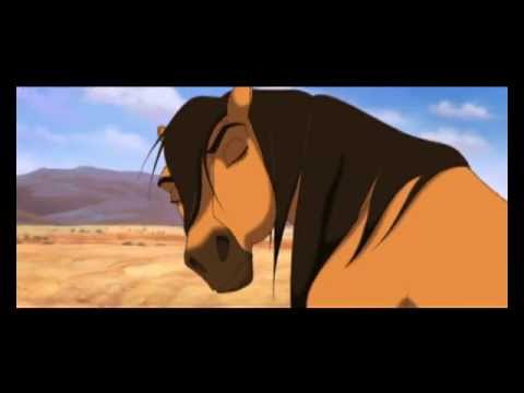 Видео: "Возьми меня с собой !..."