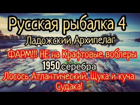 Видео: РР4. Ладожский Архипелаг. ФАРМ не на КРАФТ! Лосось Атлантический, Ладожский, Палия, Щука, Судак.