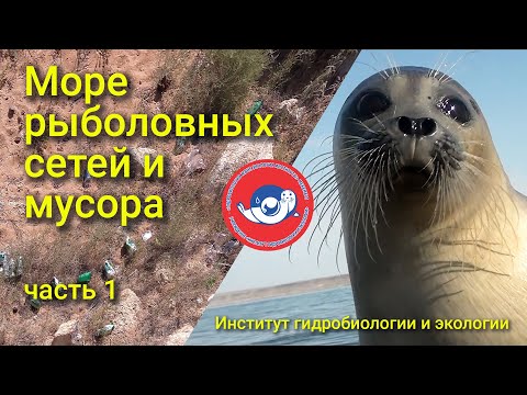 Видео: МОРЕ РЫБОЛОВНЫХ СЕТЕЙ И МУСОРА. Часть 1