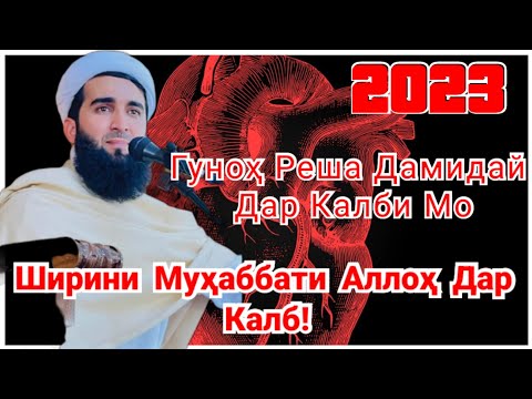 Видео: Ба Гуноҳ Одат Кардем.Мавлоно Аҳмад Фирӯз