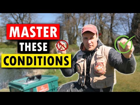 Видео: Рыбалка при восточном ветре: стратегии успеха — Kinross Trout Fishery