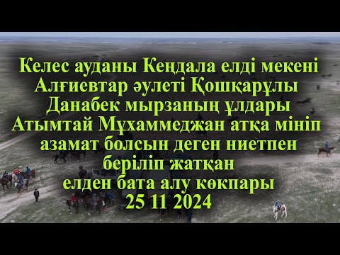 Видео: Келес Кеңдала Алғиевтар Данабек мырзаның елден бата алу көкпары 25 11 2024