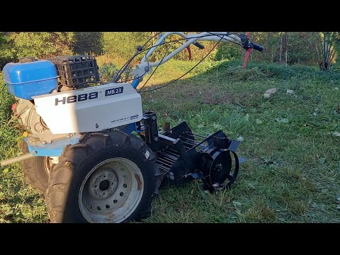 Видео: Картофелекопалка "Пахарь".Начинаем выбирать картошку.