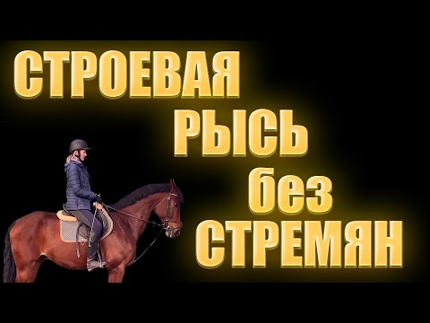 Видео: Как ехать строевой рысью без стремян