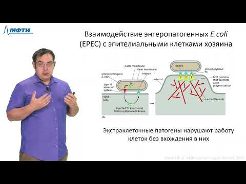Видео: Лекция 10.1. Патогены и инфекция. Трофимов В.В., МФТИ (2021)