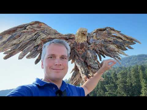 Видео: Виктория. Как американцы и англичане о.Ванкувер делили.