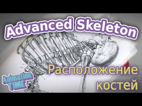 Видео: Корректное расположение  костей в скелете | Correct joints placement