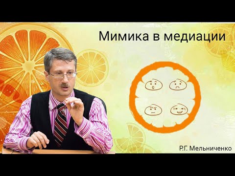 Видео: Мимика в медиации