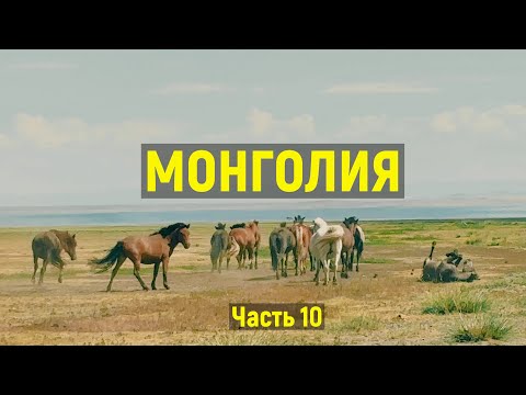 Видео: Монголия. Часть десятая