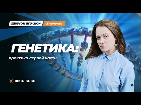 Видео: ЩЕЛЧОК к ЕГЭ 2024 по биологии | Генетика: практика первой части
