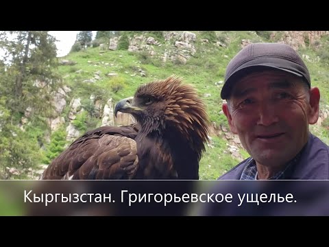 Видео: Кыргызстан. Григорьевское ущелье