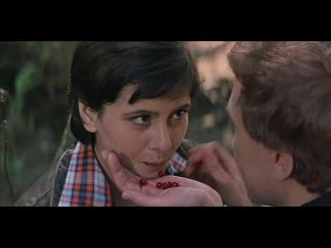 Видео: Оставить след (1982)