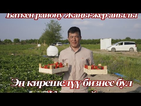 Видео: #Batken #Баткен району жаңы-жер айылы #Кулпунай өстүрүү же болбосом негизи киреше булагы 💵💵💵💰💰💰