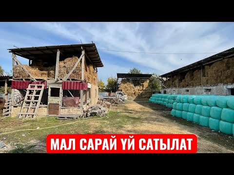 Видео: МАЛ САРАЙ ҮЙ САТЫЛАТ САДОВОЕ 2025