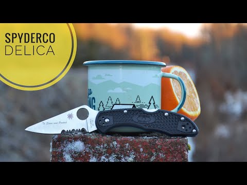 Видео: обзор Spyderco Delica Thin Blue Line / сравнение с Endura