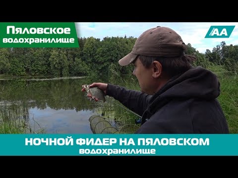 Видео: Фидерная Рыбалка с Ночевкой на Пяловском Водохранилище. Отличный Отдых!