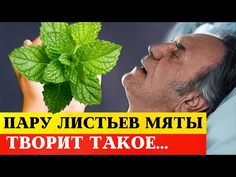 Видео: Забудьте о БОЛЯЧКАХ! Вот что ТворитМЯТА, врачи не могут объяснить силу, но это факт!!