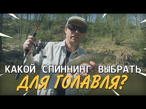 Видео: Спиннинг для ловли голавля. Вопрос-ответ