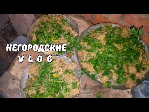 Видео: НУТРИИ: ужин как в ресторане! 29.10.25