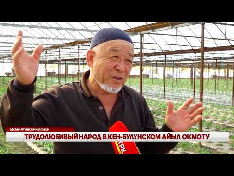 Видео: ТРУДОЛЮБИВЫЙ НАРОД В КЕН-БУЛУНСКОМ АЙЫЛ ОКМОТУ