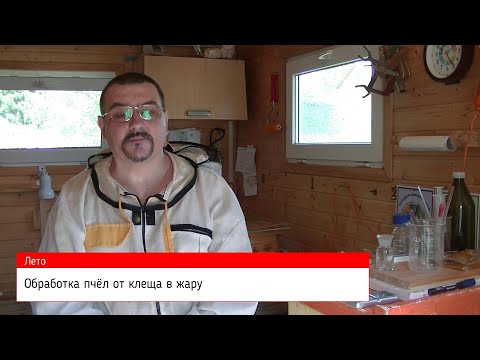 Видео: 🔥 Обработка пчёл от варроатоза в жару 🔥