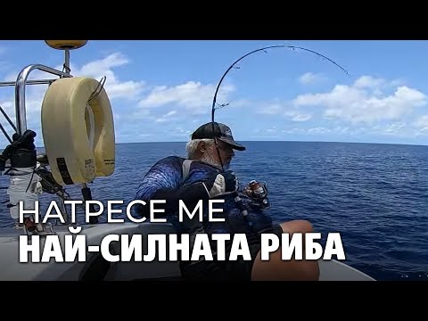 Видео: Натресе ме НАЙ-СИЛНАТА РИБА на Планетата! / Авантюрата Сейшели 2022 - 4 част