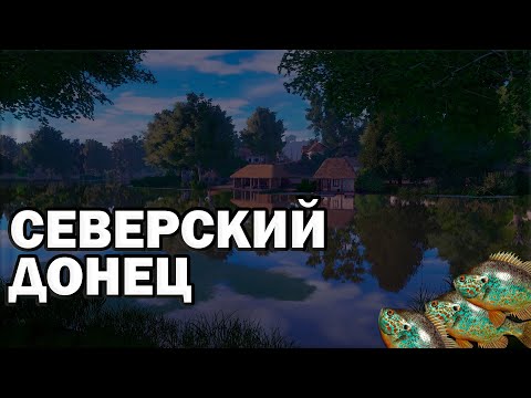 Видео: Стрим РР4. Северский Донец. Окунь солнечный на ультралайт для квалификации. Русская рыбалка 4