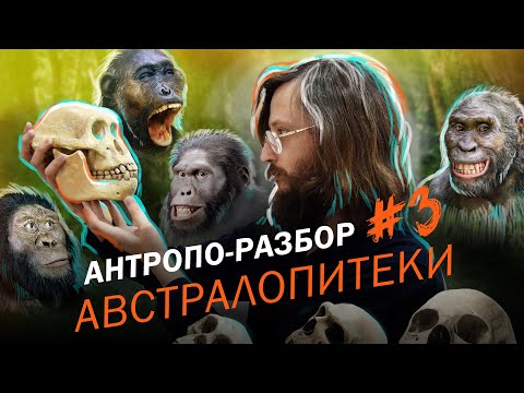 Видео: Реконструкции австралопитеков: Станислав Дробышевский. #Антропо_разбор 3
