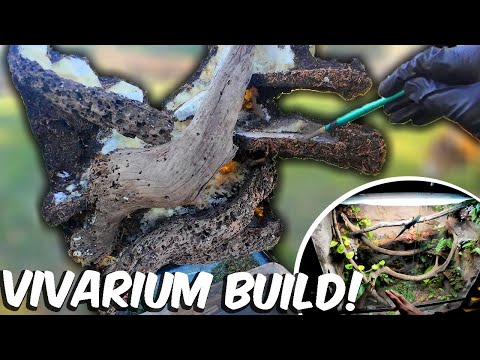 Видео: Новый процесс строительства вивария!
