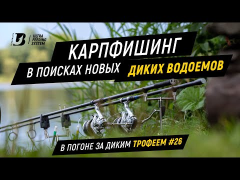 Видео: Ловля карпа. В поисках новых диких водоемов. В погоне за диким трофеем #26.