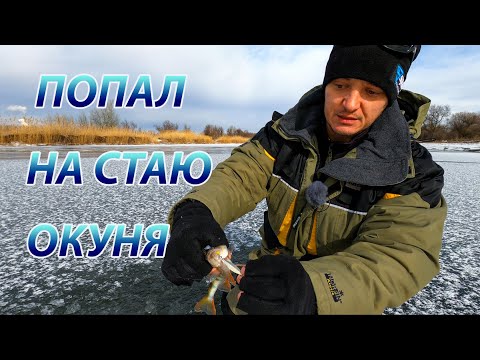 Видео: Стая окуня на зимнюю блесну Лепесток. Отличная блесна!!!