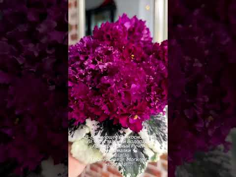 Видео: АВ-Волнующее Прикосновение - одна из лучших новинок ЛЕ-Хрустальный Водопад и ЛЕ-Серебряный Ручей.