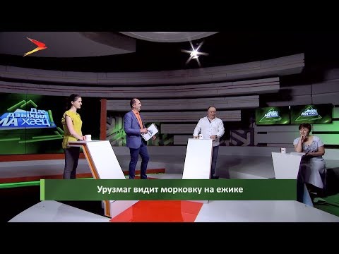 Видео: Дæ дзыхыл ма хæц!