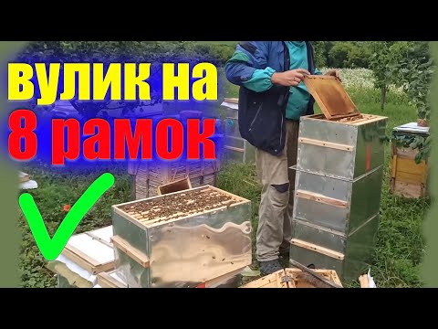 Видео: Восьмирамковий вулик для бджіл на 300 рамку