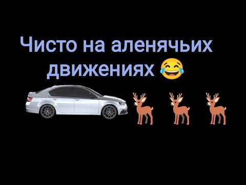 Видео: Ситуация самого тупого Аленя - история отношений