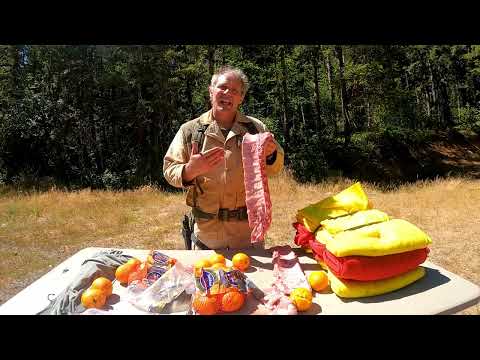 Видео: 20 Gauge Buckshot (включая Rio #1 Buckshot)