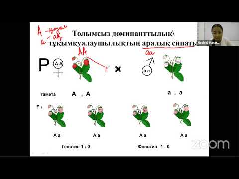 Видео: ҰБТ-ға дайындық. БИОЛОГИЯ. Тұқымқуалаушылық пен өзгергіштік