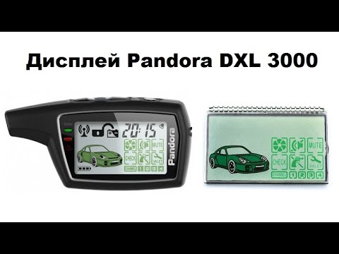 Видео: Дисплей Pandora 3000